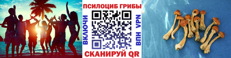 кракен   Кировск  Галлюциногенные грибы мухоморы  купить  цена 