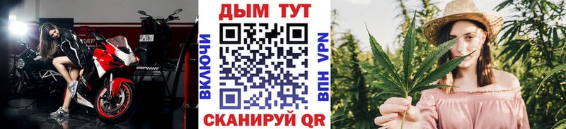 KRAKEN как войти  Кировск  Бошки Шишки SATIVA & INDICA 