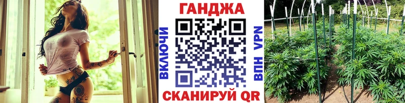 Бошки марихуана сатива Кировск